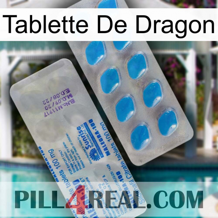 Dragon Tablet new15